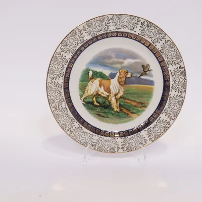 Tallrik (Alpine White English Ironstone) från Wood & Sons