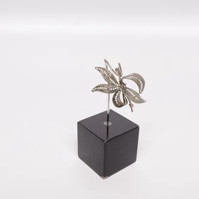 Brosch (Silverfärgad) Okänd metall