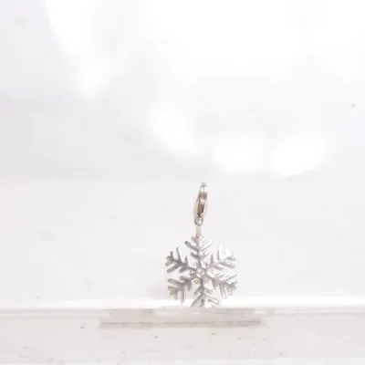 Charm (Silver) from Thomas Sabo Silver
