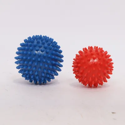 Ballon d'exercice (Bleu, Marron) de Westside