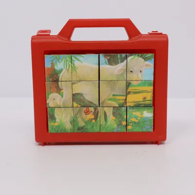 Puzzel van Ravensburger