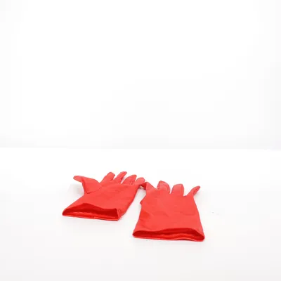 Accessoires de déguisement (Rouge)