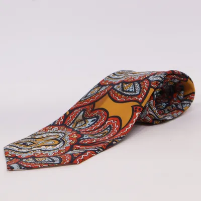 Tie (Multicolored) from Sabina Polyester