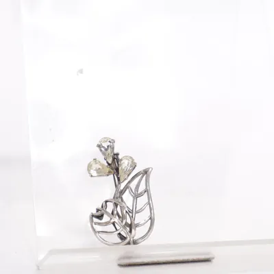 Broche (Argent) Métal inconnu