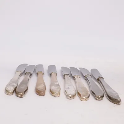 Knife set (Silver) from Solingen