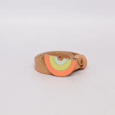 Belt (Brown, Multicolored)