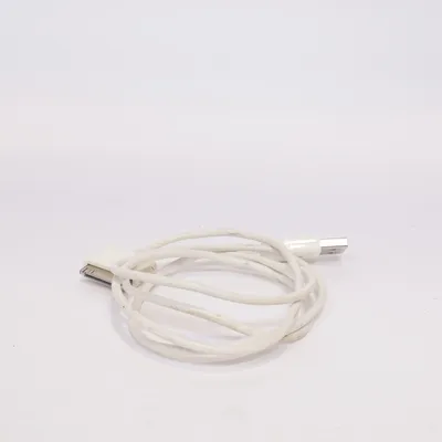 USB cable from Apple