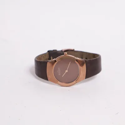 Montre (Marron, Or) de Skagen