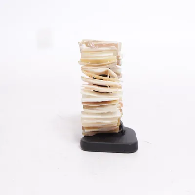 Bracelet (Perlmutt) Shells