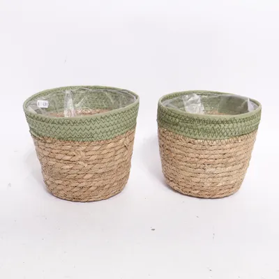 Pot (Green, Brown)
