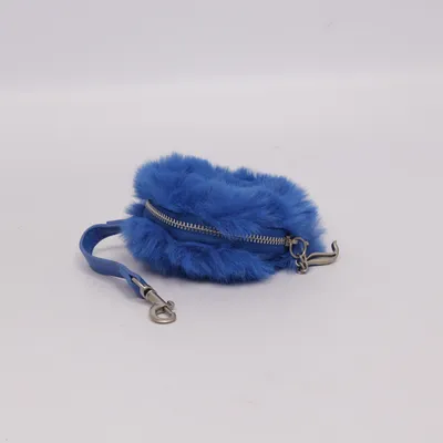 Wallet (Blue) from Juicy Couture
