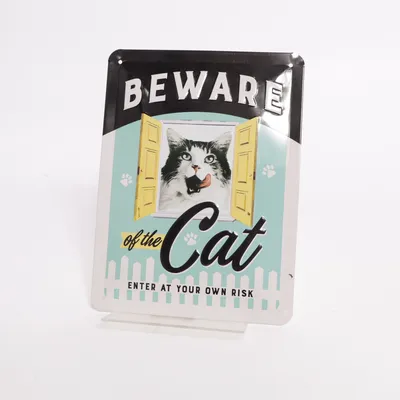 Bord (Katze)