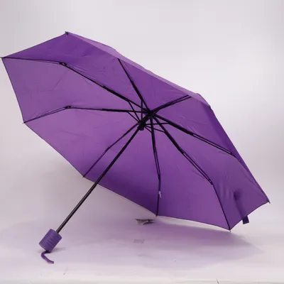 Umbrella (Purple) from The Weather Station