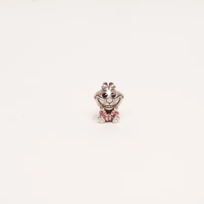 Charme de Pandora Argent