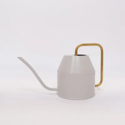 Watering can (Gray, Gold)