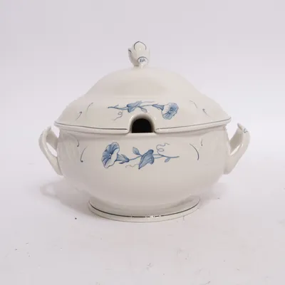 Terrin (Val Bleu) från Villeroy & Boch