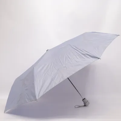 Parapluie (Violet)