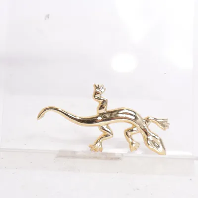 Broche (Or) Métal inconnu