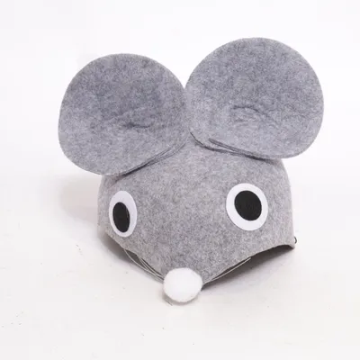 Costume accessories (Gray)