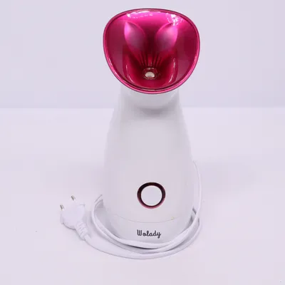 Steam cleaner