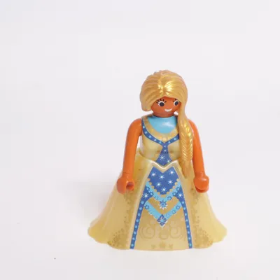 Speelgoedfiguur (Geel, Blauw, Meerkleurig) van Playmobil