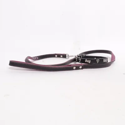 Laisse (Violet)
