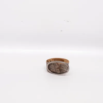 Riem (Bruin) van Vanzetti
