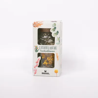 Ask (Transparent) från Moses