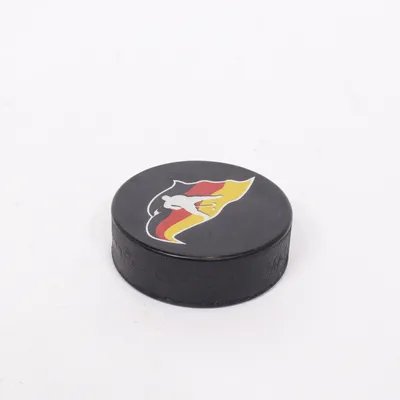 Hockeypuck (Svart, Flerfärgad)