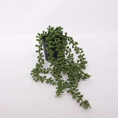 Artificial plant (Black, Green)