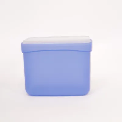 Brotdose (Blau) von Tupperware