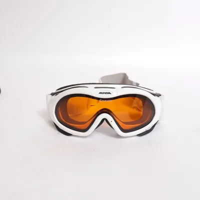 Ski goggles (Doubleflex) from Alpina