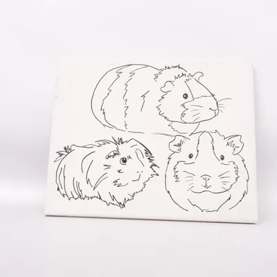 Canvas (Harzura by JH)