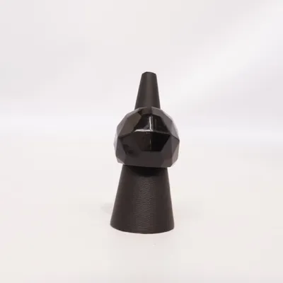 Ring (Black) Plastic