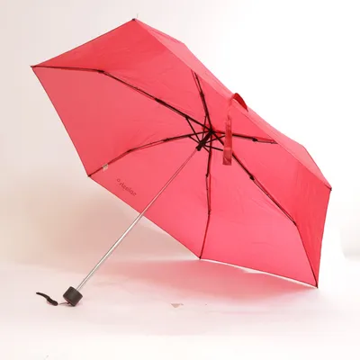 Umbrella (Red) from Splash