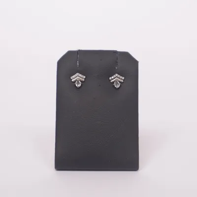 Oorbellen (Zilver) van Pandora Zilver