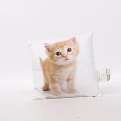 Prydnadskudde (Orange, Vit) från Bella Casa