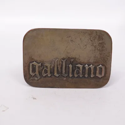 Bälte (Brun, Svart) från Galliano