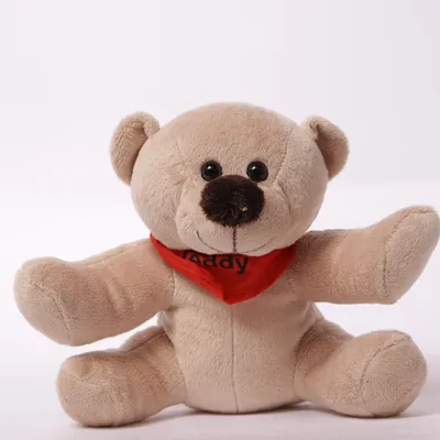 Peluche (Beige, Rouge) de Teddy