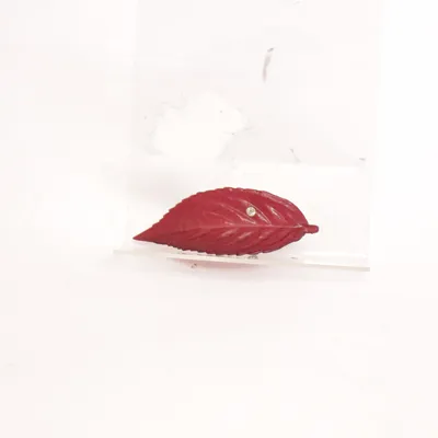 Brooch (Red) from Revit! Unknown metal