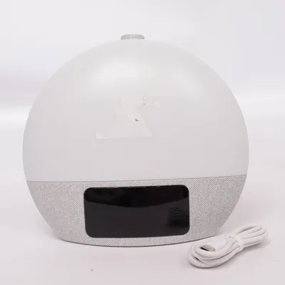 Voice assistant (YF-01)