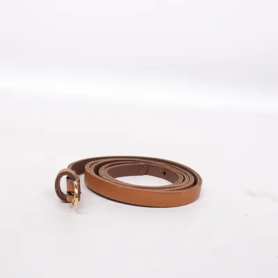 Riem (Bruin) van Hallhuber