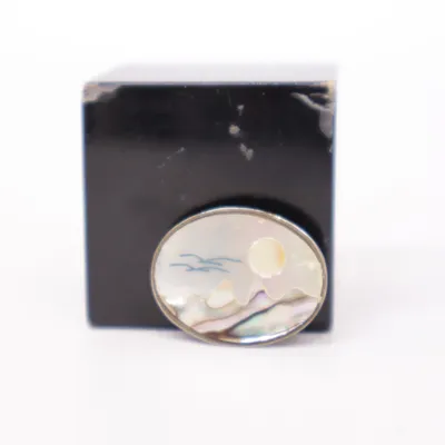 Brosch (Flerfärgad) Okänd metall