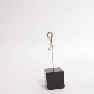 Hänge (Silverfärgad) från Thomas Sabo Charm Club Okänd metall