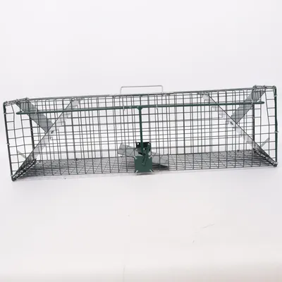 Transportbur (Grön)