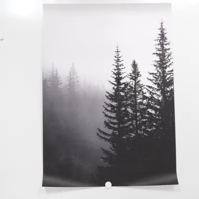 Poster (Grå)