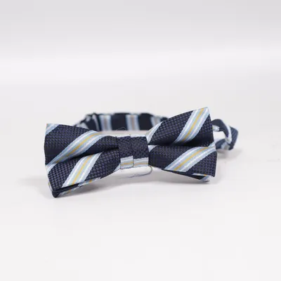 Bow tie (Blue, Gray)