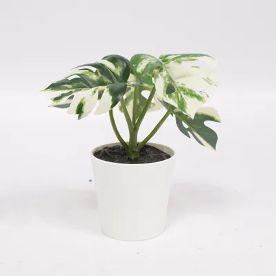 Kunstig plante (Grøn, Hvid) fra IKEA