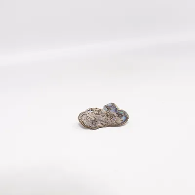 Broche (Multicolore) Métal inconnu