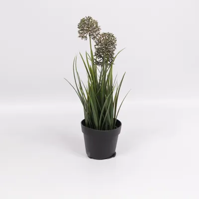 Konstgjord växt (Fejka) från IKEA